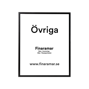 Övriga ramar